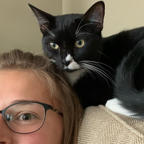 Meet your Posher, Delaney - Picture 1 of 1